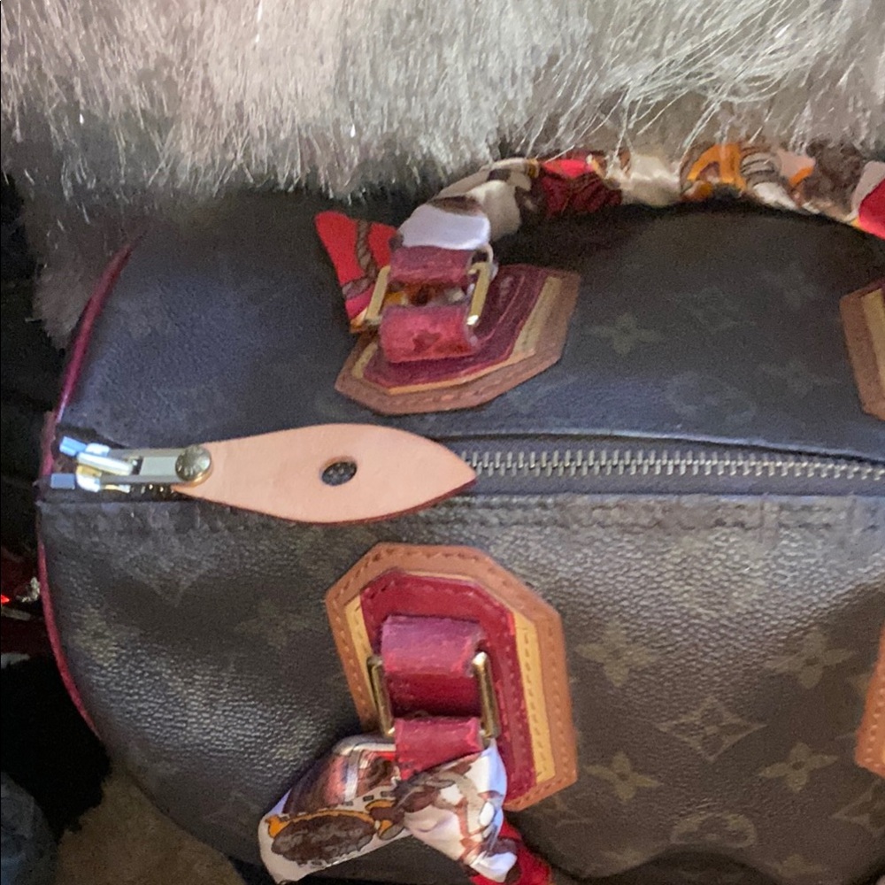 Louis Vuitton Speedy Special Edition Bag - Picture 11 of 16